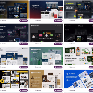 Premium Elementor Website Templates
