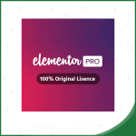 Elementor Pro
