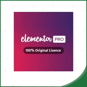 Elementor Pro